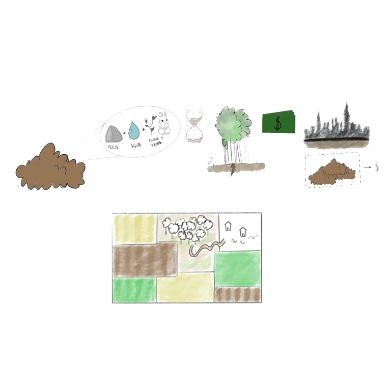 El suelo y la permacultura (video)| ECOlabora